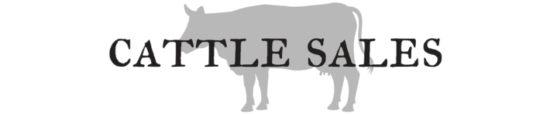 Click here to explore our two cattle sales locations